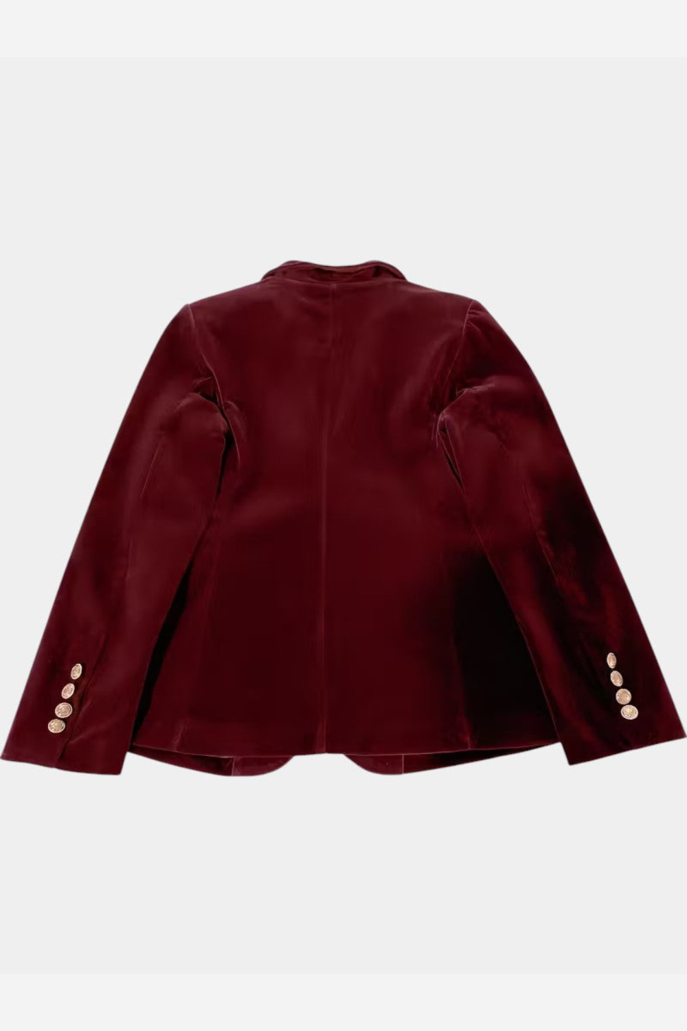 Fanny – Blazer Femme Élégant et Polyvalent pour Toutes Occasions